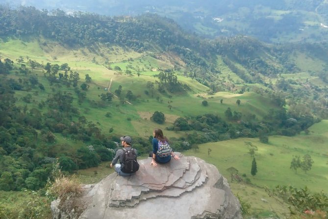 Hiking High Andean Forests - Key highlights at a glance