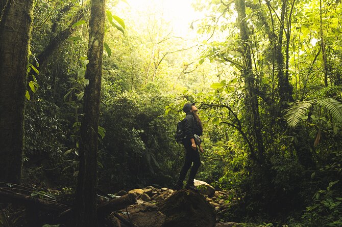 hiking medellin and hidden waterfalls - Key Things to Know Before You Go