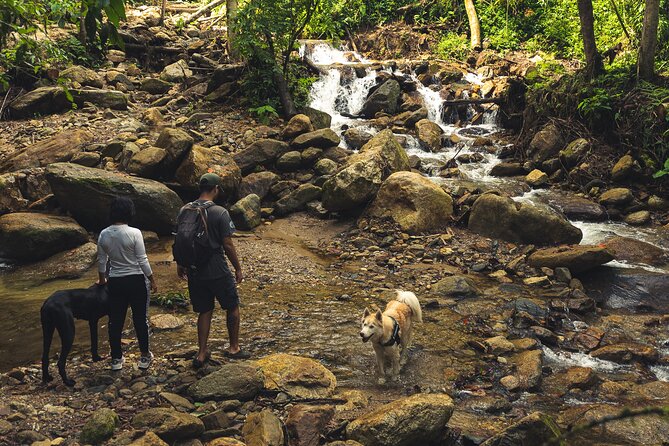hiking medellin and hidden waterfalls - The Hike Parts in Between: Cloud Forest, Stream Crossings, and Pace