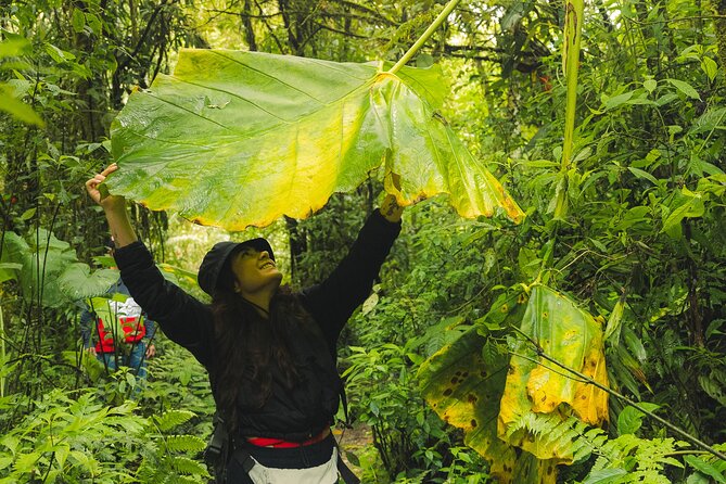 hiking medellin and hidden waterfalls - Getting There in El Poblado at 9:00 am