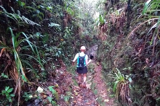 Hiking Mountains and Magical Forests - Forests Above Medellín, Not a Tourist Bubble