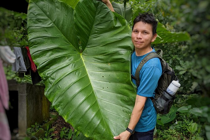 Hiking To Minca - Transportation From Santa Marta, Without the Hassle