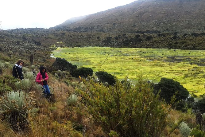 Hiking to the largest paramo on earth : Sumapaz - Why Sumapaz Páramo Feels Like Science Class You Can Walk Into