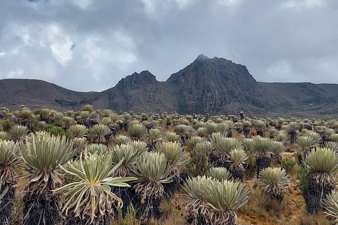 Hiking to the largest paramo on earth : Sumapaz - Parque Nacional Natural Sumapaz: What You Actually See as You Gain Elevation
