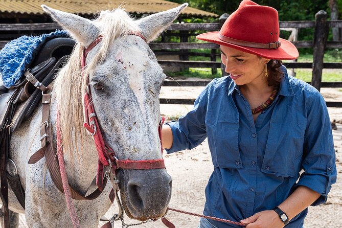 Horse Riding at La Mello Adventure Lodge - Key highlights you will feel on the trail