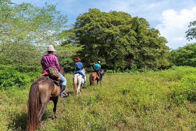 Horse Riding at La Mello Adventure Lodge - Reaching the San Salvador River: where the ride becomes a swim break