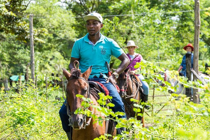 Horse Riding at La Mello Adventure Lodge - Price and value: what $65 gets you in the real world