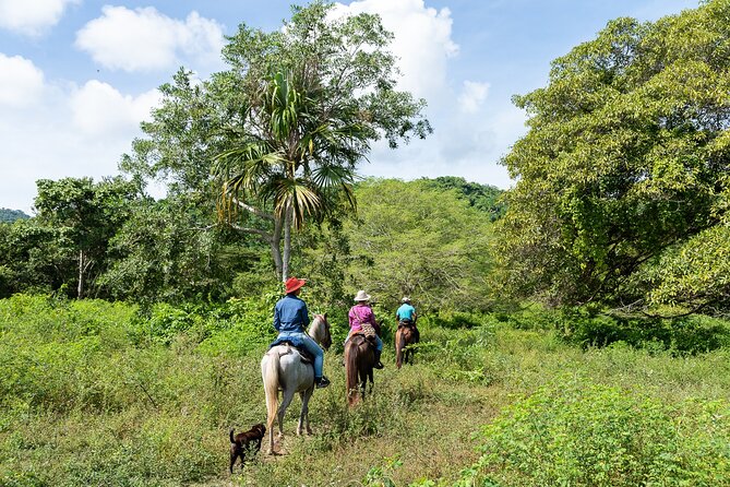 Horse Riding at La Mello Adventure Lodge - The forest trail: your first 60 to 90 minutes