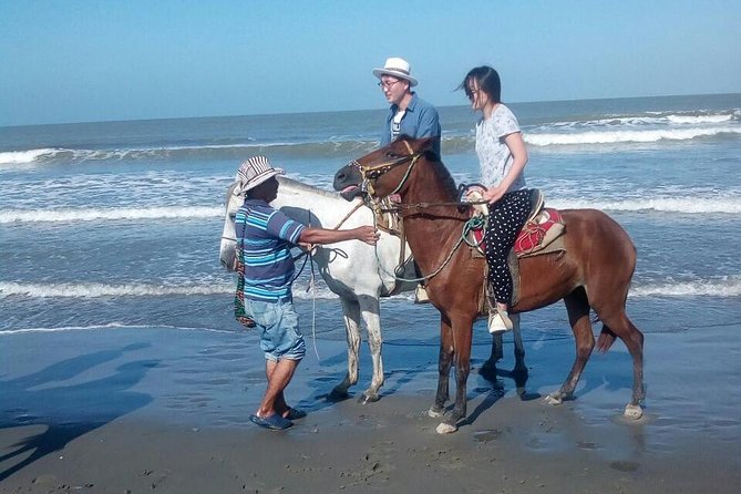 Horse Riding in Cartagena - Key highlights worth planning for