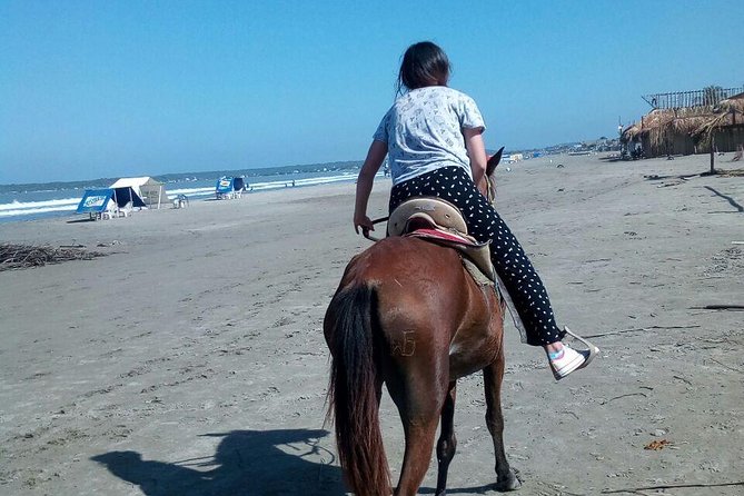 Horse Riding in Cartagena - Price and Value: Is $80 Worth It for 1.5 Hours?