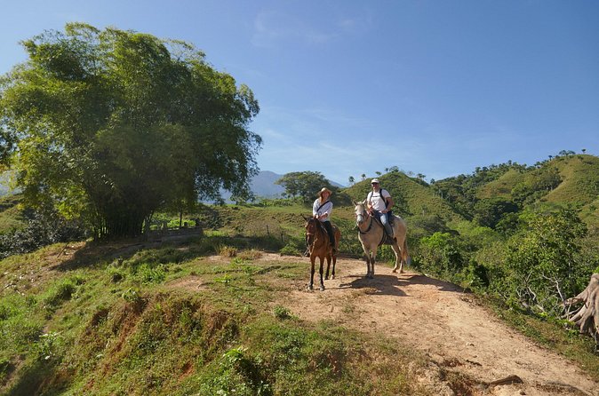 Horse Riding through Jungle with Local Lunch - The River Beach Swim Break: Why It Feels Like the Best Part of the Day