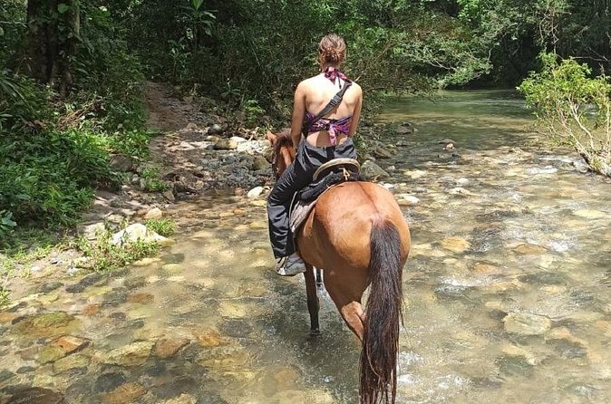 Horse Riding through Jungle with Local Lunch - Horseshoe Tours and Guide Styles: Getting the Ride You Want