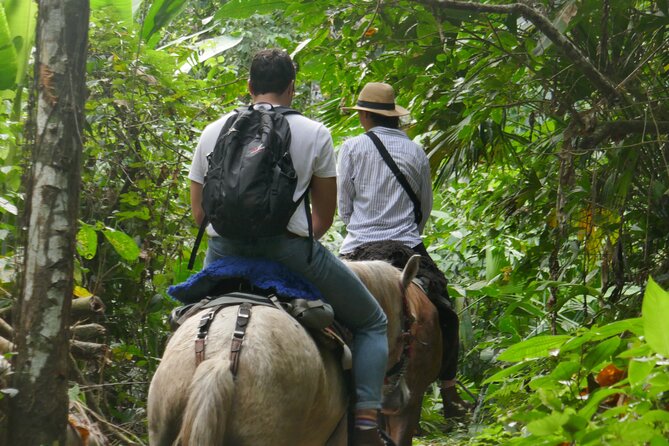 Horse Riding through Jungle with Local Lunch - Price and Value in Santa Marta Area Terms