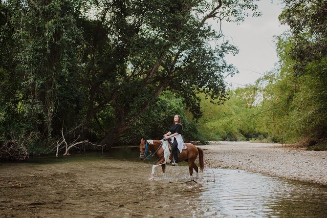Horse Riding through Jungle with Local Lunch - Who This Tour Suits Best (and Who Might Not)