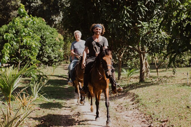 Horse Riding through Jungle with Local Lunch - Instruction and Horse Fit: The Part That Makes or Breaks Your Comfort