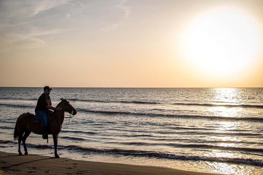 HORSE TOUR IN CARTAGENA BEACH - A Beach Horse Ride That Feels Like a Quiet Escape From Cartagena