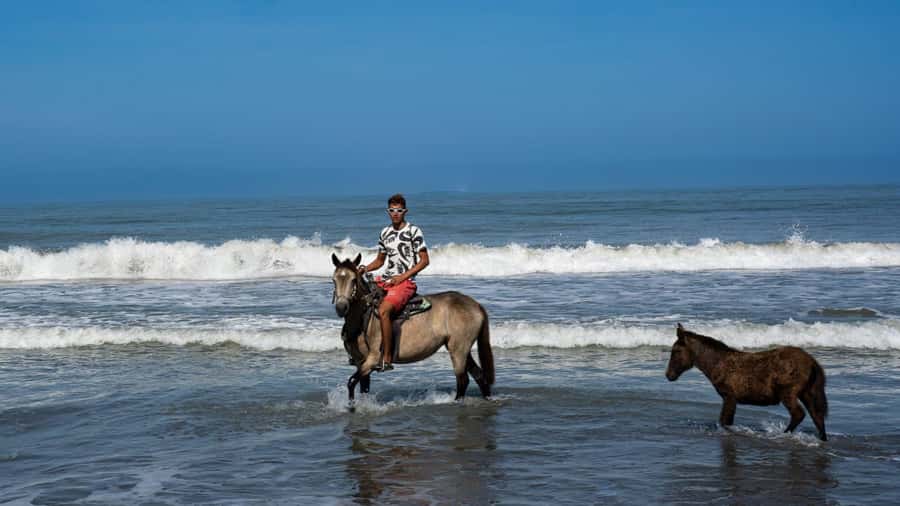 HORSE TOUR IN CARTAGENA BEACH - One Hour on the Sand: Walking, Trotting, and the Gallop Option