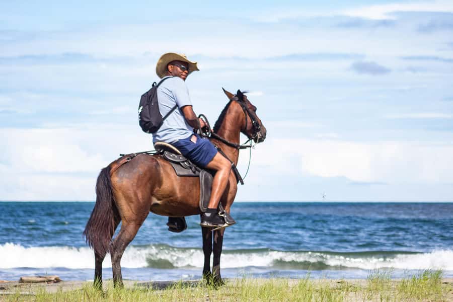 HORSE TOUR IN CARTAGENA BEACH - Getting There: Private Car Pickup to Manzanillo del Mar
