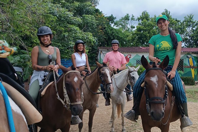 Horseback Ride Near Cartagena With Mountains, Wildlife and Forest - Private, English-Friendly, and Built for a Half-Day Nature Escape