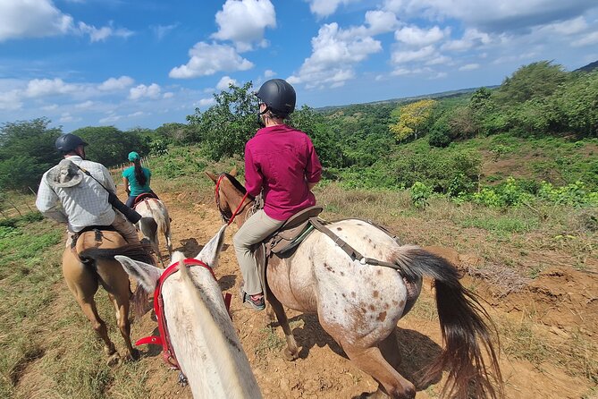 Horseback Ride Near Cartagena With Mountains, Wildlife and Forest - Price and Value: What $159 Pays For