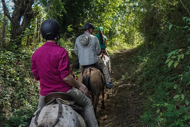 Horseback Ride Near Cartagena With Mountains, Wildlife and Forest - Your Morning Starts With Breakfast by the Lake