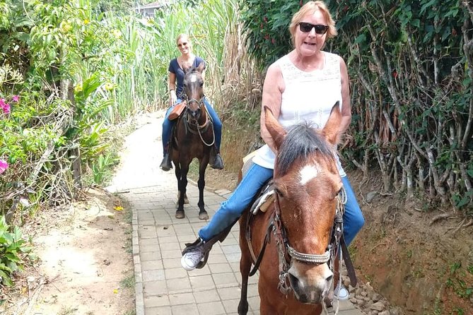 Horseback Riding Adventure from Medellin - On the Saddle: Rivers, Forest Trails, and Wildlife You Might Spot