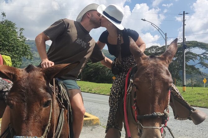 Horseback Riding Adventure from Medellin - Road vs Trail Reality Check: How the Route Can Vary