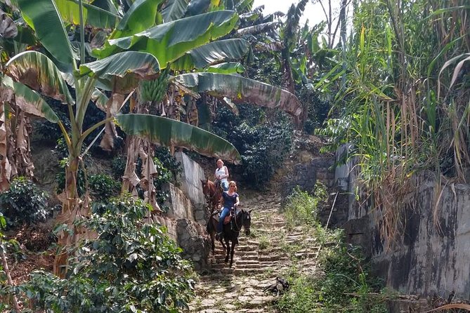 Horseback Riding Adventure from Medellin - Photo Stops, Breaks, and Refreshments at the Halfway Point