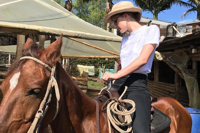 Horseback Riding Adventure from Medellin - Timing and Skill Level: Beginner Friendly, Balance Required