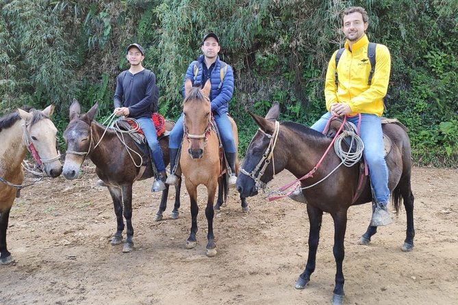 Horseback Riding from Guadalupe to Monserrate Private Day-Tour - Price and value: paying $116 for a 6-hour private ride