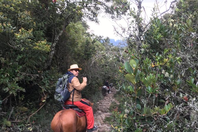 Horseback Riding from Guadalupe to Monserrate Private Day-Tour - Stop 1 on the Cerros Orientales: starting in the Eastern Hills