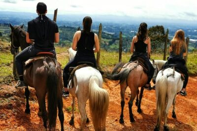 Horseback Riding in Medellin Private Tour: Great Views & Horses