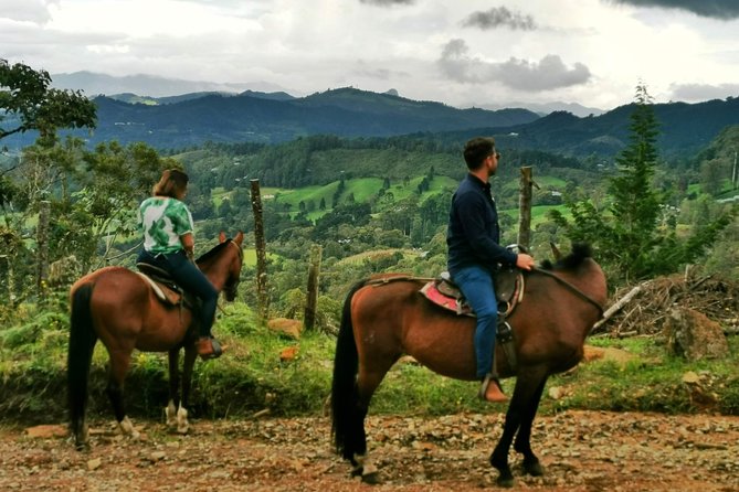 Horseback Riding in Medellin Private Tour: Great Views & Horses - Quick practical tips to make your ride smoother
