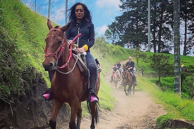 Horseback riding to the viewpoints and the Sestillal waterfall in Salento - Horseback to Sestillal, not a typical Salento bus tour