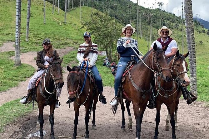 Horseback riding to the viewpoints and the Sestillal waterfall in Salento - The forest viewpoints part: where the birdwatching happens
