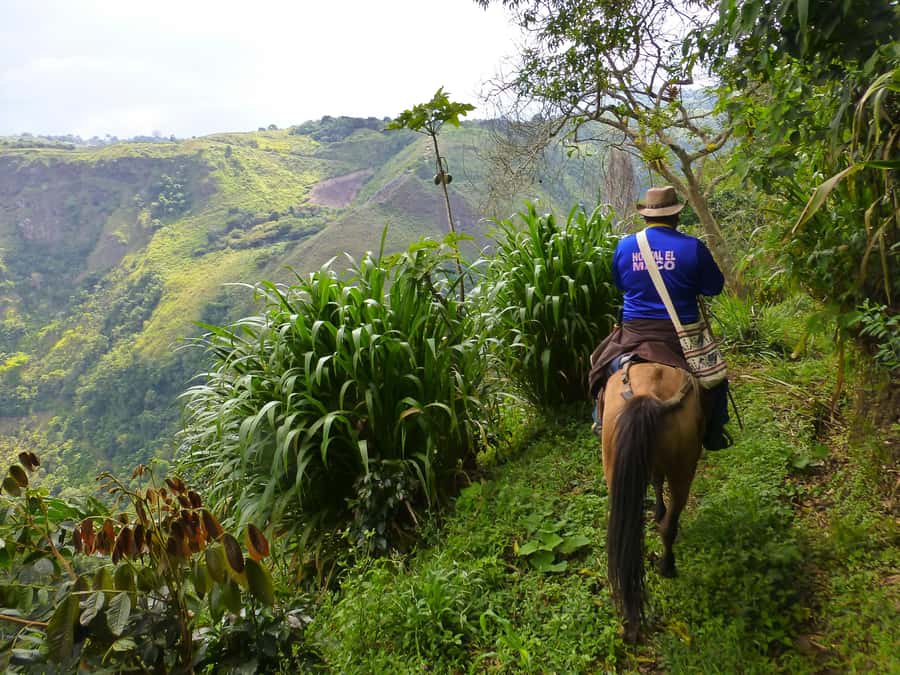 Horseback Riding Tour and visit to Tablón, Chaquira, Pelota - Key things I’d plan around