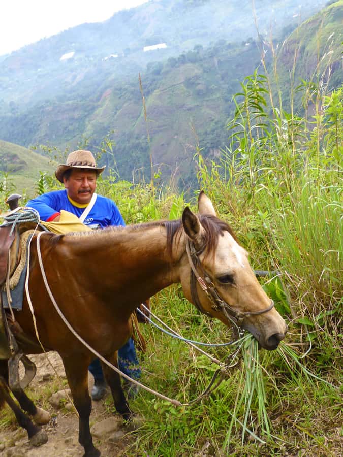 Horseback Riding Tour and visit to Tablón, Chaquira, Pelota - Why this horseback ride is a great way to see San Agustín