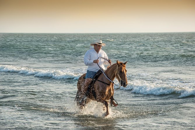 Horseback riding tour in a Colombian Paso fino horse - Key highlights that make this ride worth your time