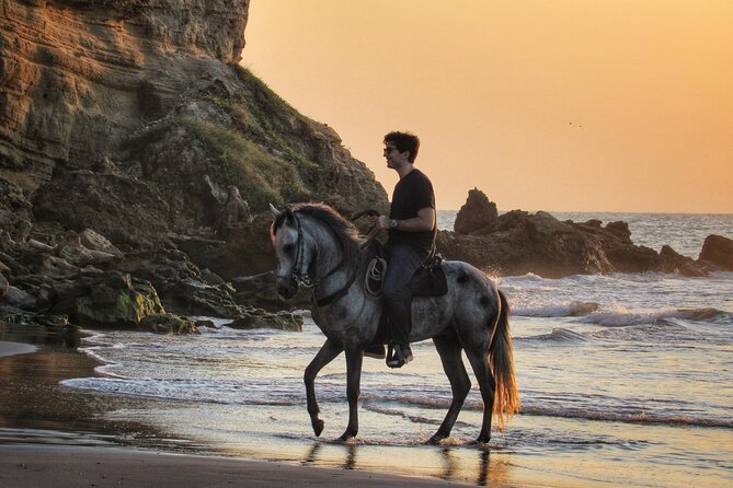 Horseback riding tour in a Colombian Paso fino horse - What you’re really doing in Cartagena, and why it feels different