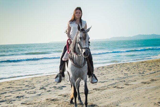 Horseback riding tour in a Colombian Paso fino horse - In the saddle: what the guides do that makes the day feel safe