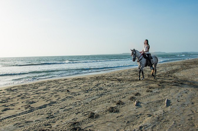 Horseback riding tour in a Colombian Paso fino horse - Who this tour is best for, and who should skip it
