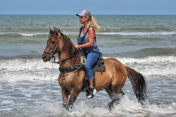 Horseback riding tour in a Colombian Paso fino horse - The ride to the beach: using the smooth gait where it counts