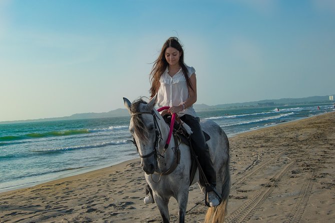 Horseback Riding Tour in Beach of Cartagena - Key highlights I’d circle first
