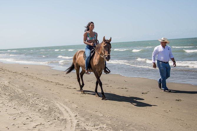 Horseback Riding Tour in Beach of Cartagena - Why Paso Fino Beach Riding Works So Well in Cartagena