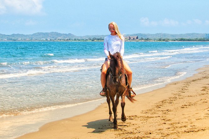 Horseback Riding Tour in Beach of Cartagena - The Paso Fino Show and Intro: Learning What Changes Under You