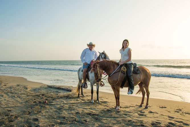 Horseback Riding Tour in Beach of Cartagena - Hotel Pickup, the Transfer, and Your First Reality Check on Timing