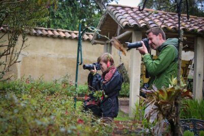 Hummingbird Birdwatching Encounter – Half Day