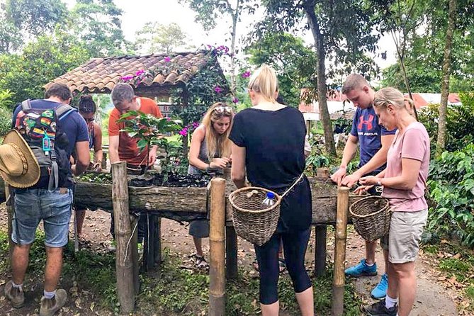 Immersive Coffee Farm Experience at Finca El Ocaso from Salento - Key things I’d pin to your trip plan