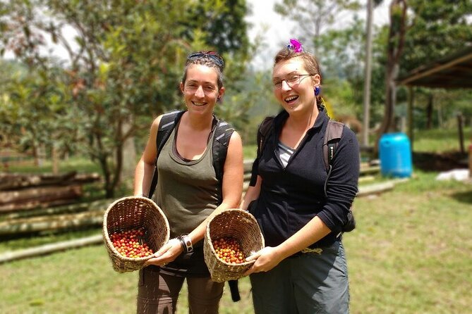 Immersive Coffee Farm Experience at Finca El Ocaso from Salento - Why Finca El Ocaso works so well from Salento