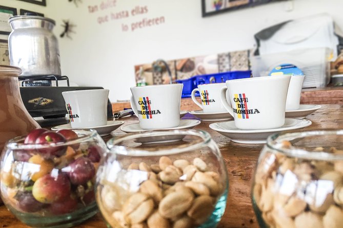 Immersive Coffee Farm Experience at Finca El Ocaso from Salento - The tasting: how varieties and preparation change what you taste